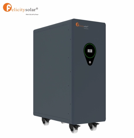 LPBA48500 25kWh 51.2V 500AH Lithiumbatterij