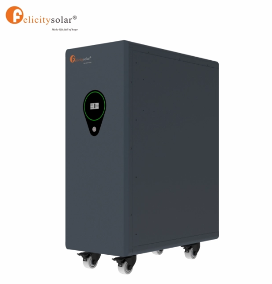 LPBA48500 25kWh 51.2V 500AH Lithiumbatterij