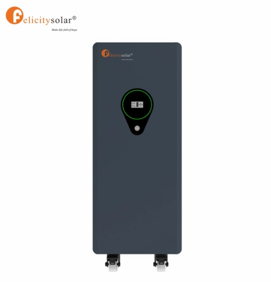 LPBA48500 25kWh 51.2V 500AH Lithiumbatterij